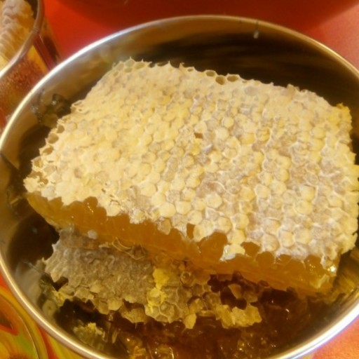 عسل گون موم دار سبلان (مستقیم از زنبور دار) یک کیلو گرم