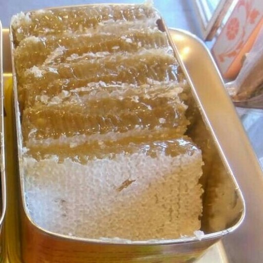 عسل موم دار (مستقیم از زنبوردار) دو کیلو گرم