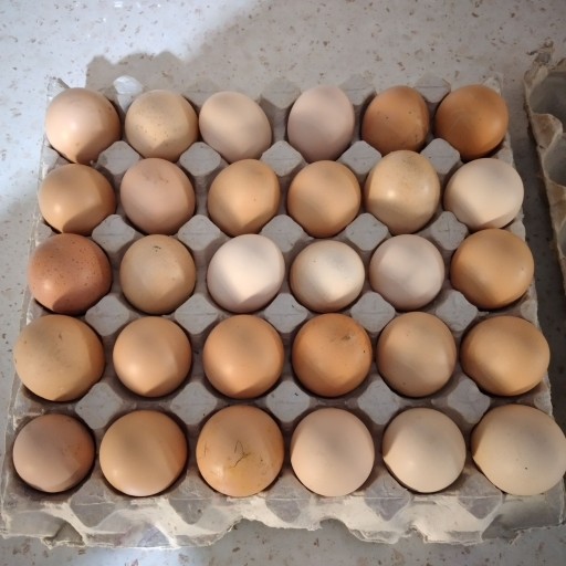 تخم مرغ نوتفه دار محلی (30تایی)
