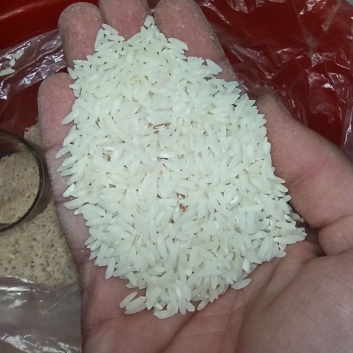 برنج اعلا و معطر طارم هاشمی ( 10 کیلوگرمی)