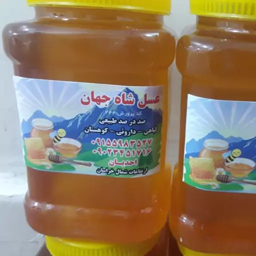 عسل بهاره کوهستان عسل اویشن و امسالی (یک کیلویی) عسل ارتفاعات شمال خراسان با کیفیت و عیار بالا