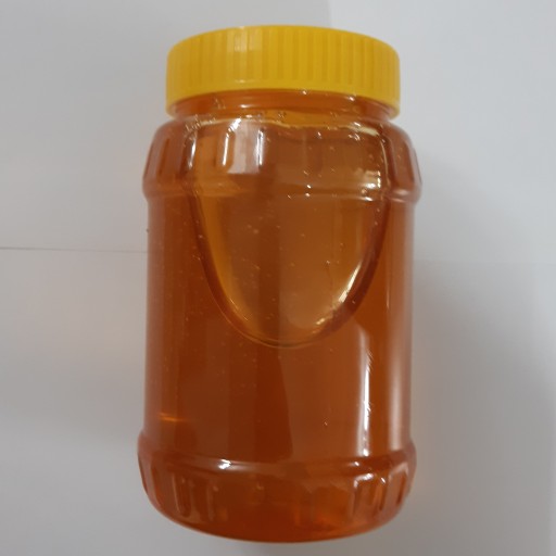 عسل طبیعی ممتاز سبلان ارسال رایگان