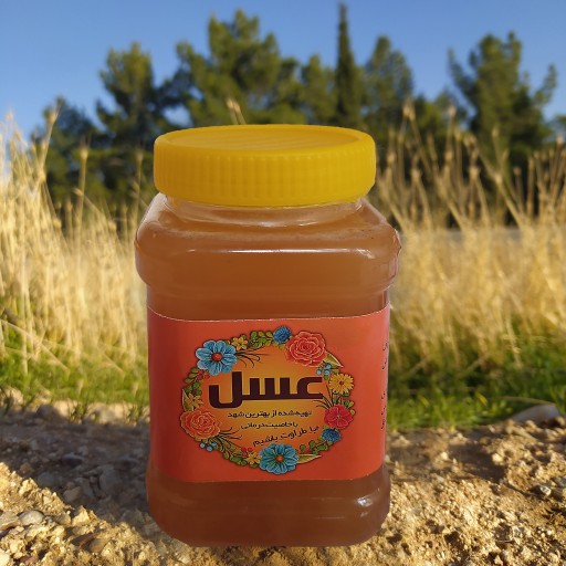 عسل طبیعی اردبیل طراوت (1000 گرم)