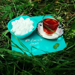 چای شکسته ی ممتاز لاهیجان با عطر و رنگ عالی (500 گرمی)