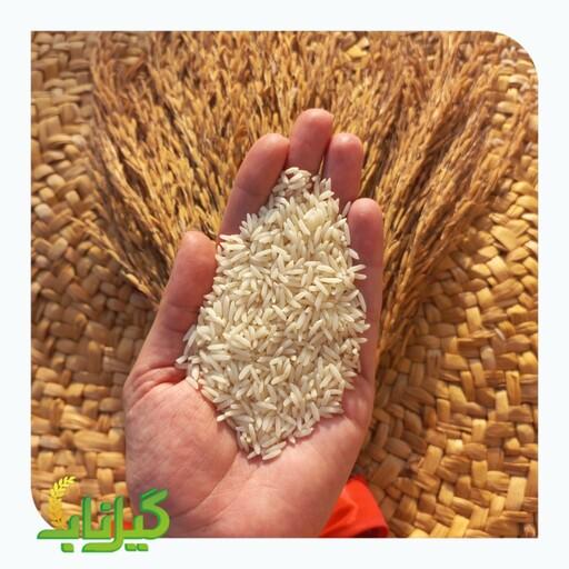 برنج شیرودی دانه بلند در بسته بندی 10کیلو گرم  