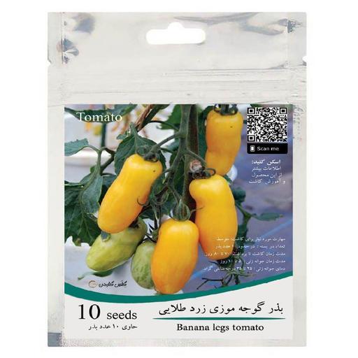 بذر گوجه موزی زرد طلایی بسته 10 عددی گلس گاردن