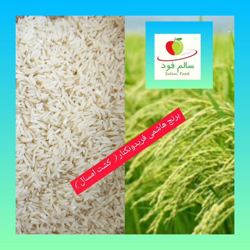 برنج هاشمی فریدونکنار کشت امسال تضمینی بشرط پخت