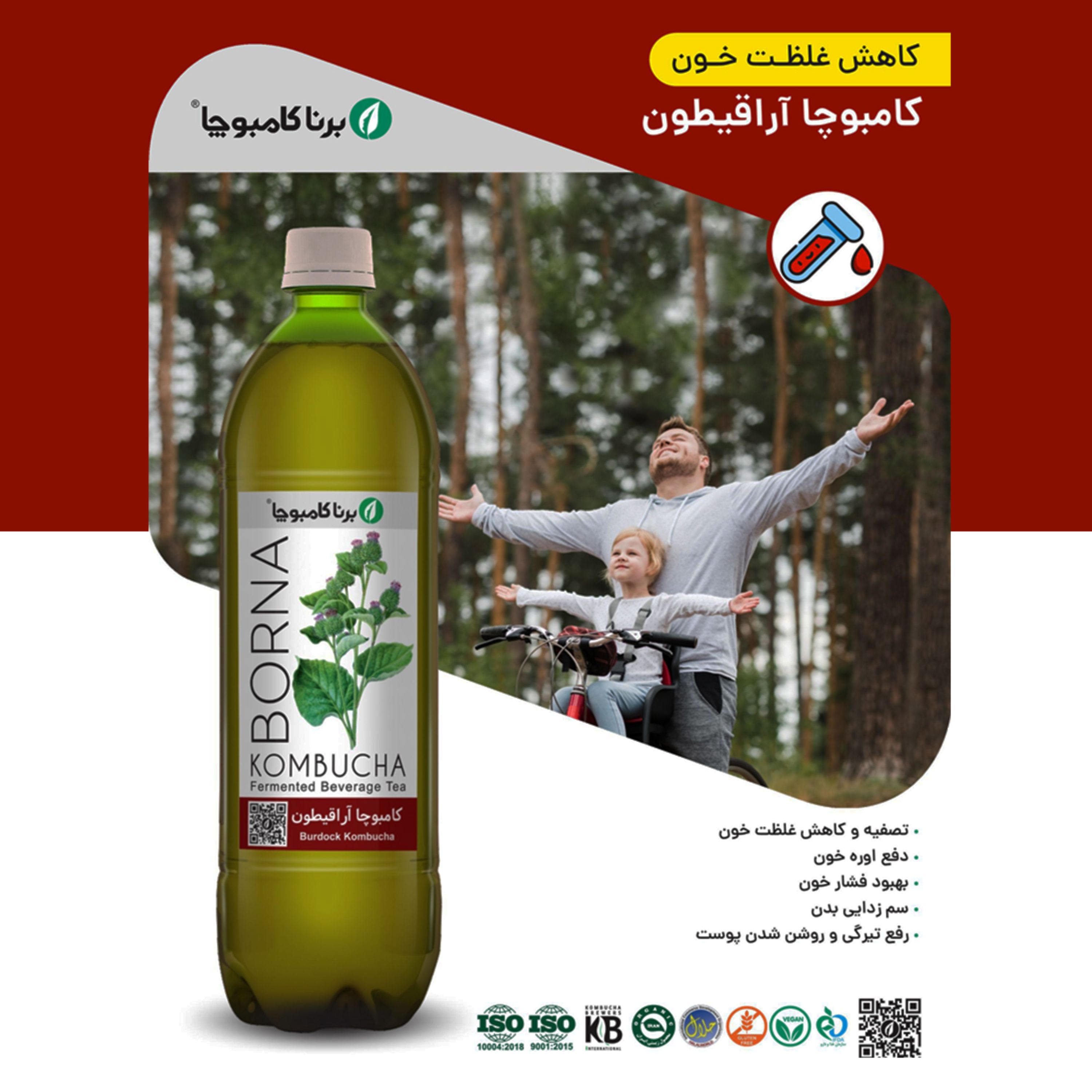 برنا کامبوچا آراقیطون 12 عددی