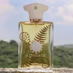 عطر ادکلن تستر درب ساده 100 میل  آمواج براکن مردانه  Amouage Bracken Man