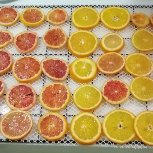 چیپس میوه پرتقال_ارسال رایگان