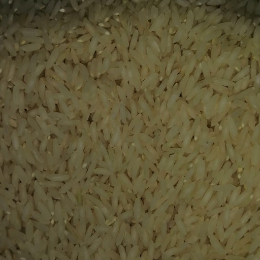برنج کشت اول  با کیفیت عالی 