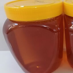 عسل زول طبی مناسب برای افرادی که دیابت دارن 