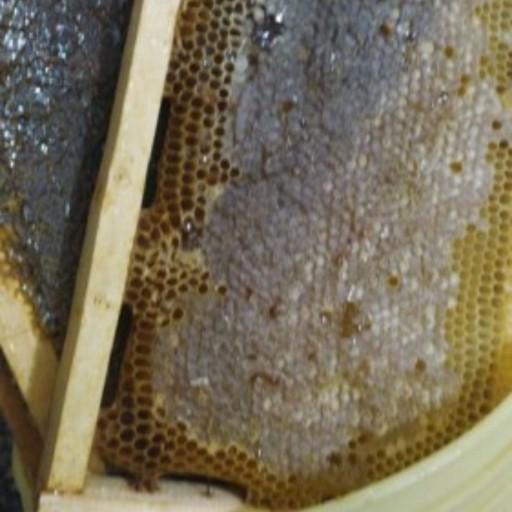 عسل طبیعی شولیز با موم