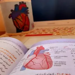 جامدادی وآرایشی رومیزی طرح قلب ❤نیلوفرانه