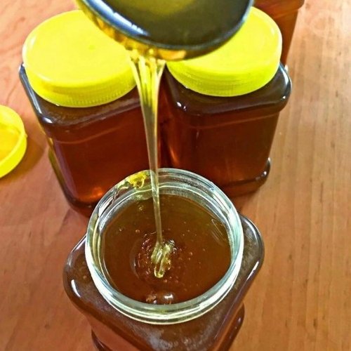 عسل زرشک شهد2کیلویی(عسل فروشی بهاره سبلان سرعین)