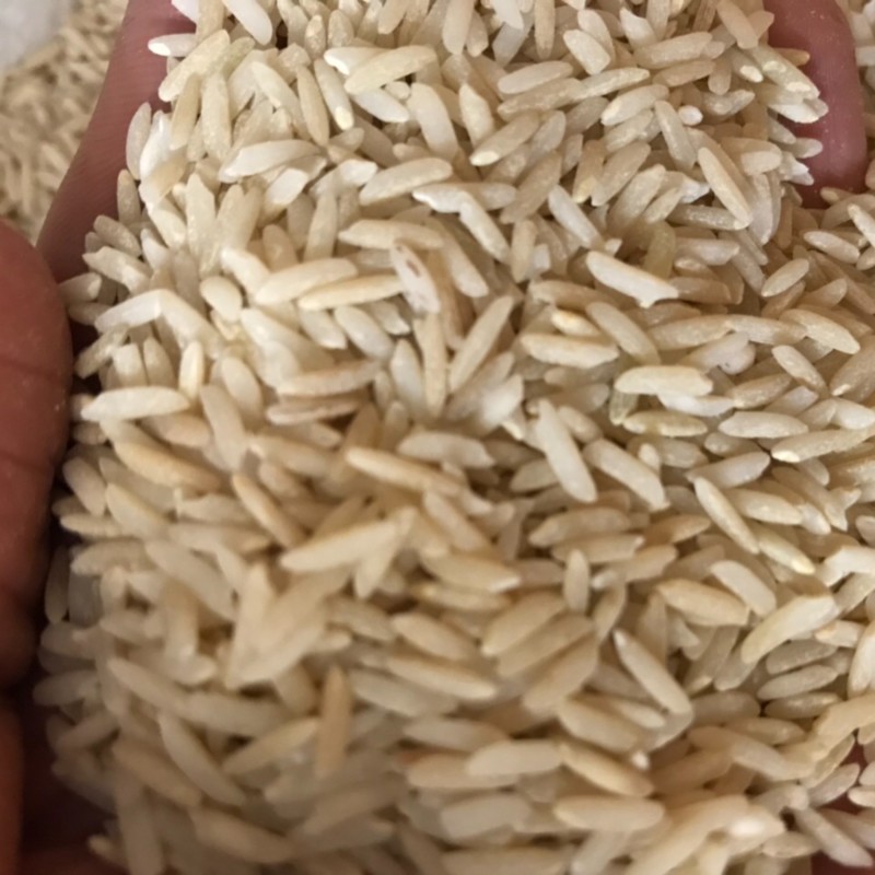 برنج سبوس دار صدری دمسیاه 5 کیلو آستانه اشرفیه ( برنج قهوه ای )