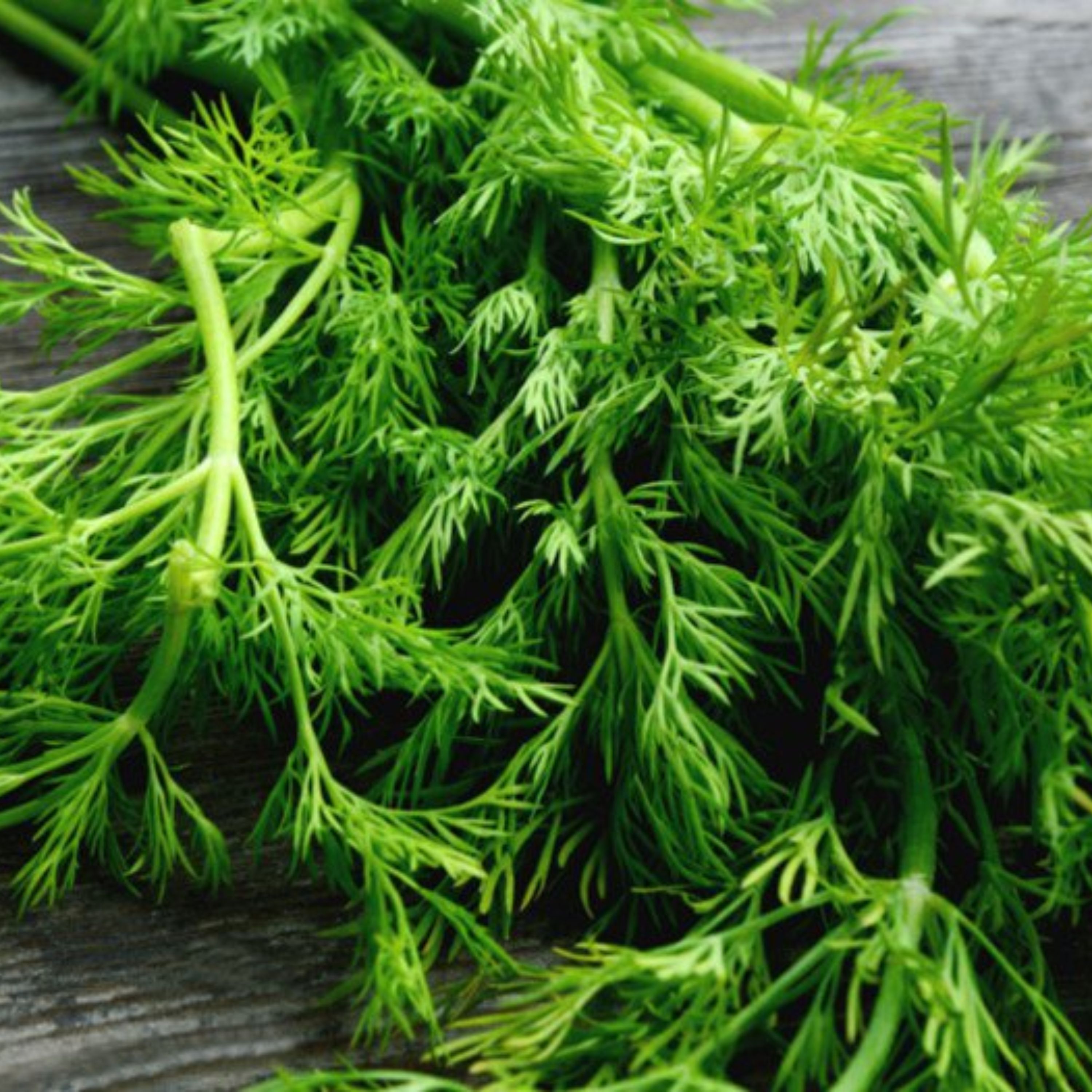 عرق شوید طبیعی سحرانا (یک لیتری)