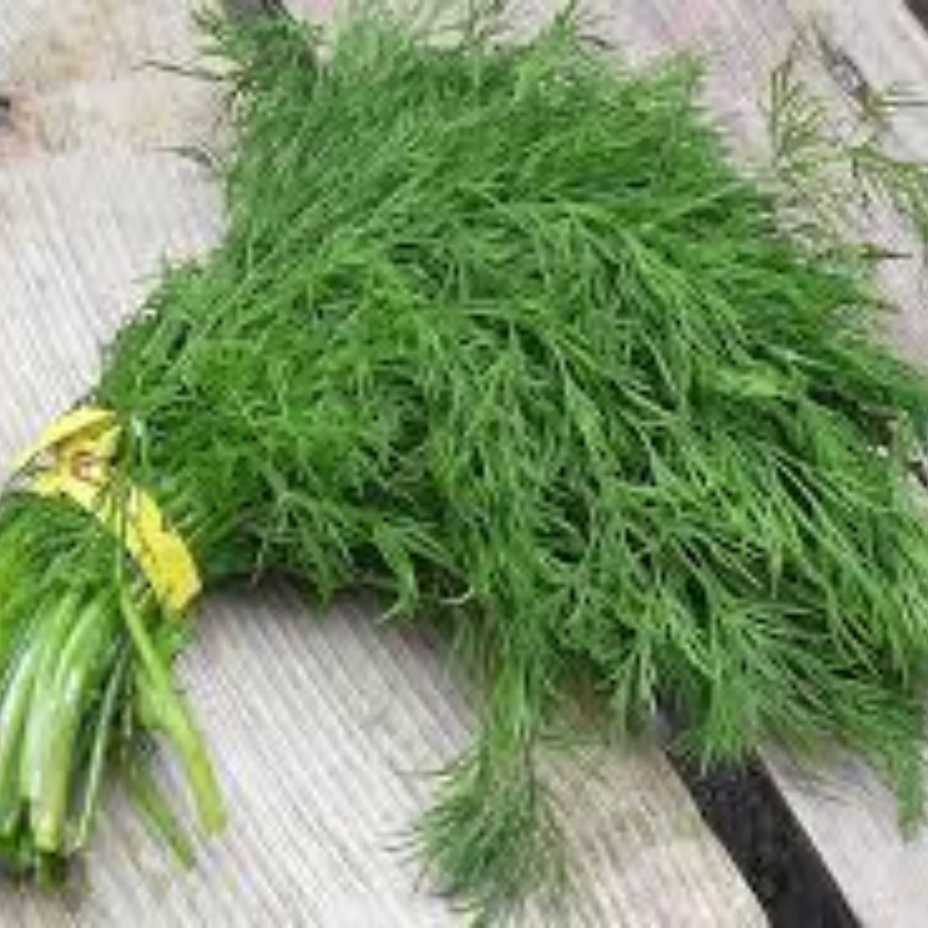 عرق شوید طبیعی سحرانا (یک لیتری)