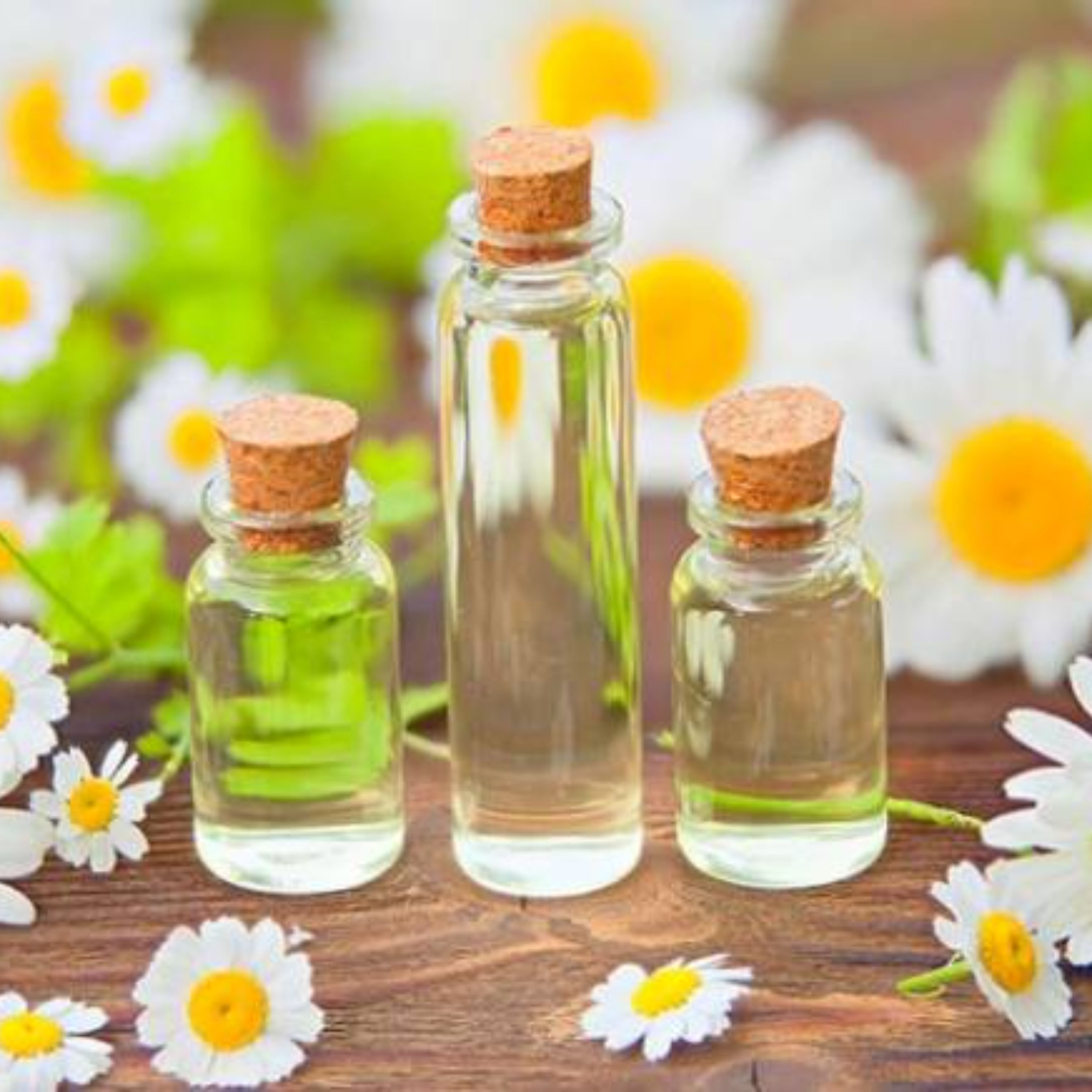 روغن بابونه اصل سحرانا (30 میلی)