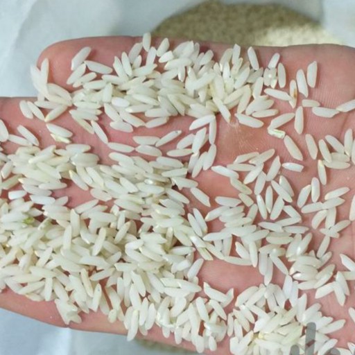 برنج عطری سرخه ( 30 کیلوگرمی)