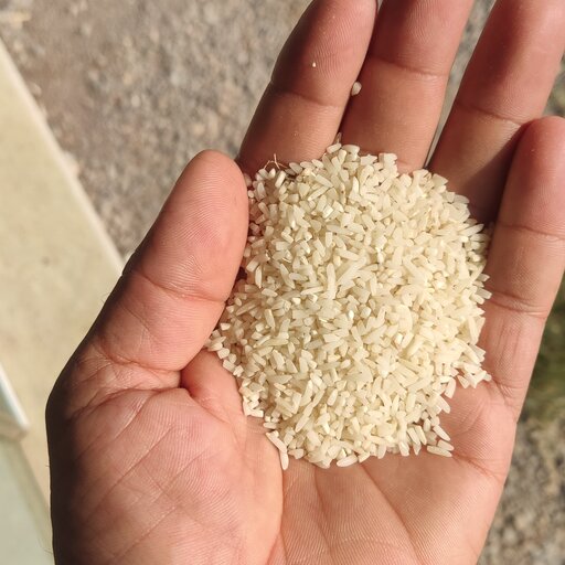 برنج نیمدانه طارم هاشمی 20 کیلویی درشت لنگرود  