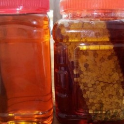 عسل سیاهدانه  (مستقیم از زنبوردار ) یک کیلو گرم