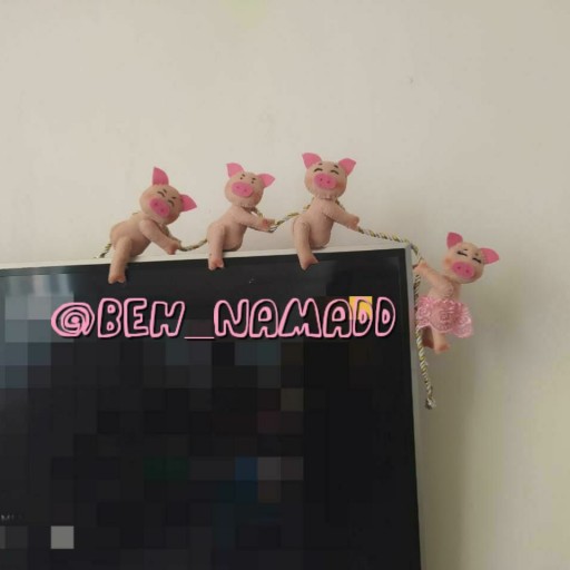 عروسک تلویزیون خوک