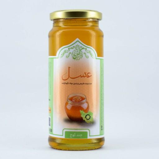عسل چندکوچ (500 گرم)