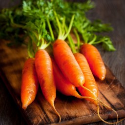 بذر  هویج پودر قرمز 1گرمی