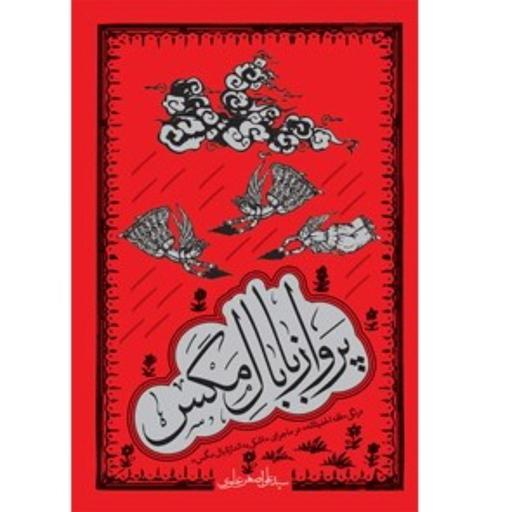 کتاب پرواز با بال مگس اثر  سید علی اصغر علوی درنگی فقه الحدیثانه نشر معارف