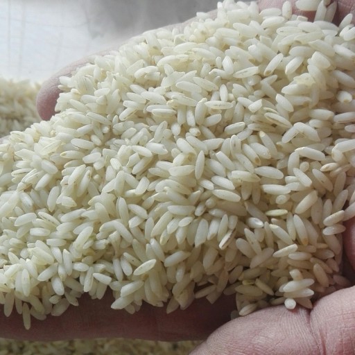 برنج دانه بلند عنبربو خوزستان(10کیلویی) ارسال فقط به اهواز