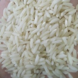 برنج ایرانی خالص