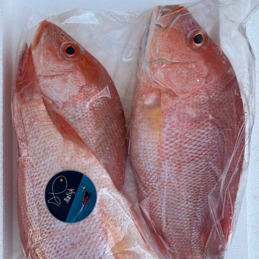 ماهی سرخو اصلی صادراتی ( پک 3 کیلویی )