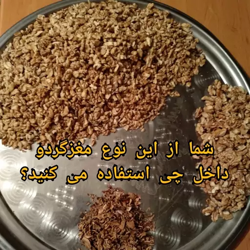 مغزگردو دندانه سفید