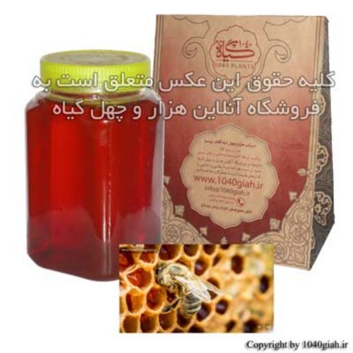 عسل طبیعی گون 1000 گرمی