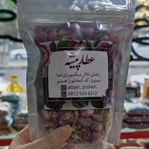 غنچه گل محمدی 