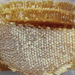 عسل درمانی زنوز به شرط و آزمایش شده به صورت موم و شهد