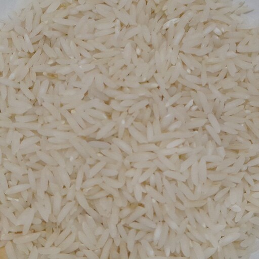 برنج هاشمی کشت دوم فوق اعلا شهرستان نور