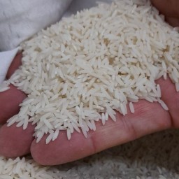 برنج طارم هاشمی درجه یک(فروش عمده)امساله     حتما توضیحات رو مطالعه بفرمائید