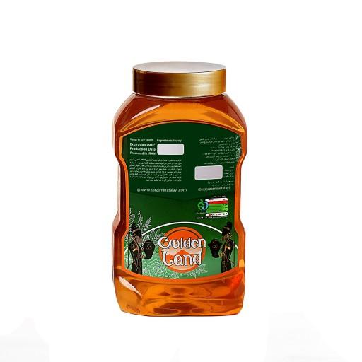عسل سرزمین طلایی خوانسار
عسل ویژه زول(بوقناق) و گون گزانگبین
وزن خالص:900گرم
ارسال رایگان