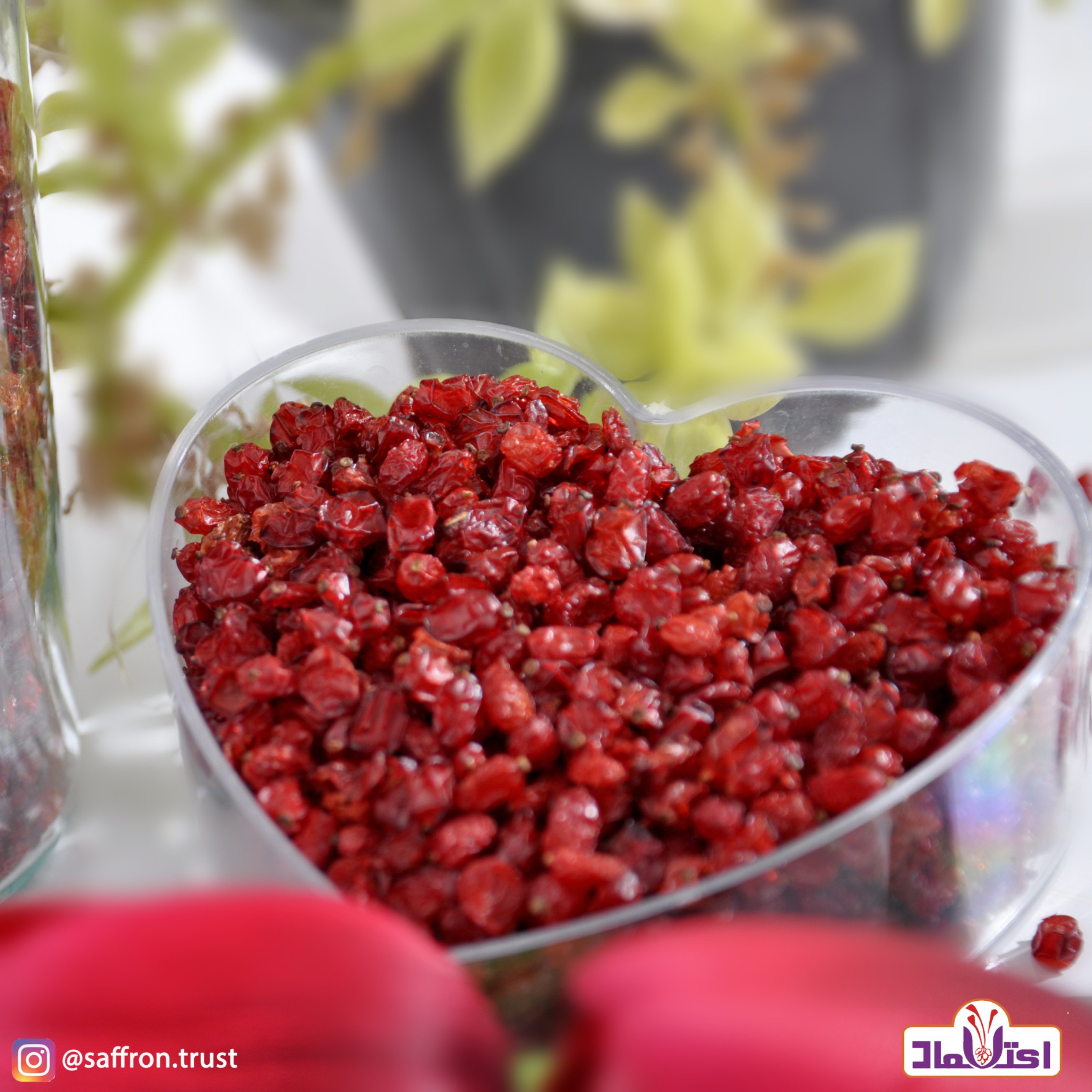 زرشک پفکی اعلا امسالی یک کیلویی رنگ روشن دانه درشت(تخفیف)