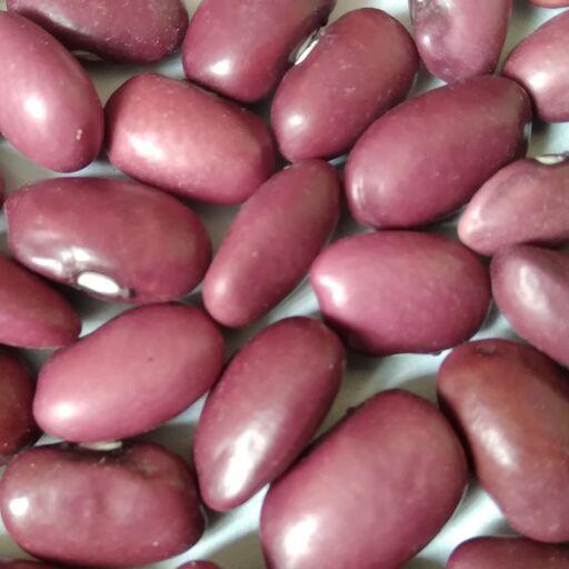 لوبیا قرمز - محصول امسال - خوش پخت - ایرانی - تازه و خوشمزه 