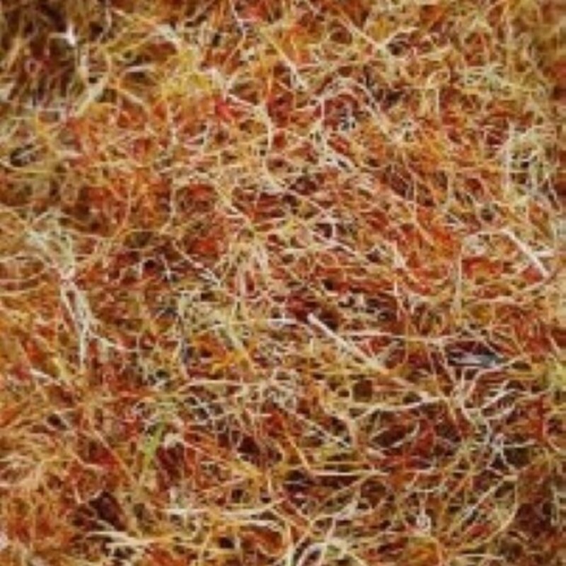 ریشه زعفران 4.6 گرمی نارگون ریزه
