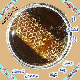 عسل چند گیاه 100 درصد طبیعی کردستان - موم دار - یک کیلویی
