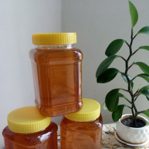 عسل شهد 99 درصد طبیعی بهار نارنج