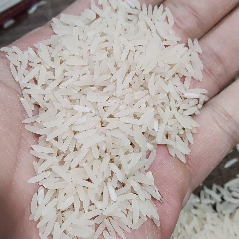 برنج فجر سورنی گرگان