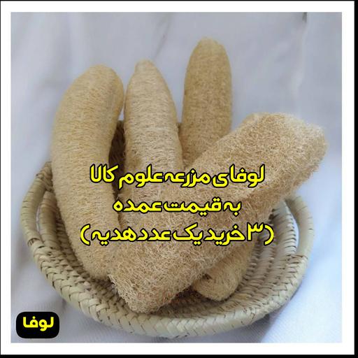 لوفا  سایز متوسط 17cm  الی  25cm  (به قیمت عمده  و با کیفیت ) 3 تا خرید یک عدد رایگان