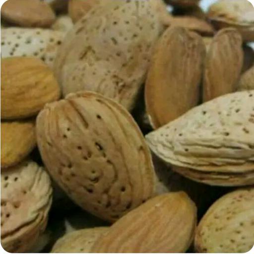 بادام سنگی محلی بیرجند ( نیم کیلو ) امسالی صدرصد شیرین