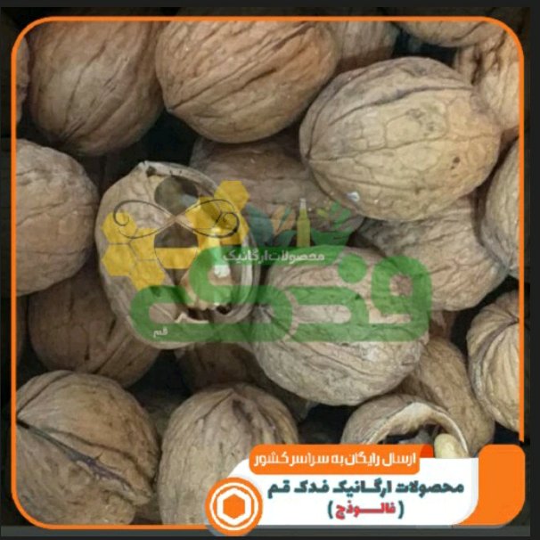 گردو فسنجانی کردستان درجه 2 فدک (900گرم)