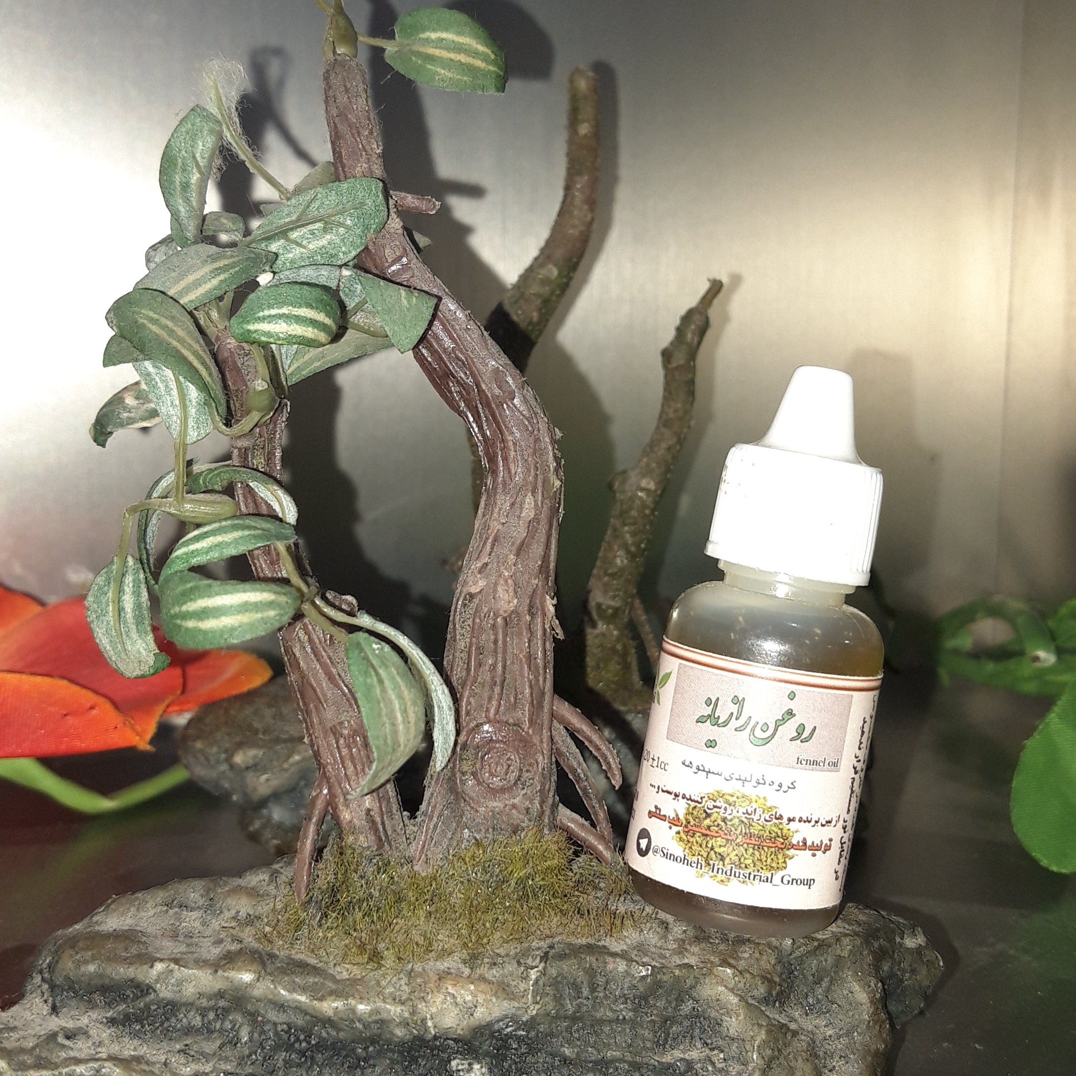 روغن رازیانه 5ستاره فدک (45 سی سی)